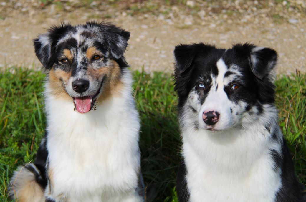 Peach und Liv unsere youngster Image