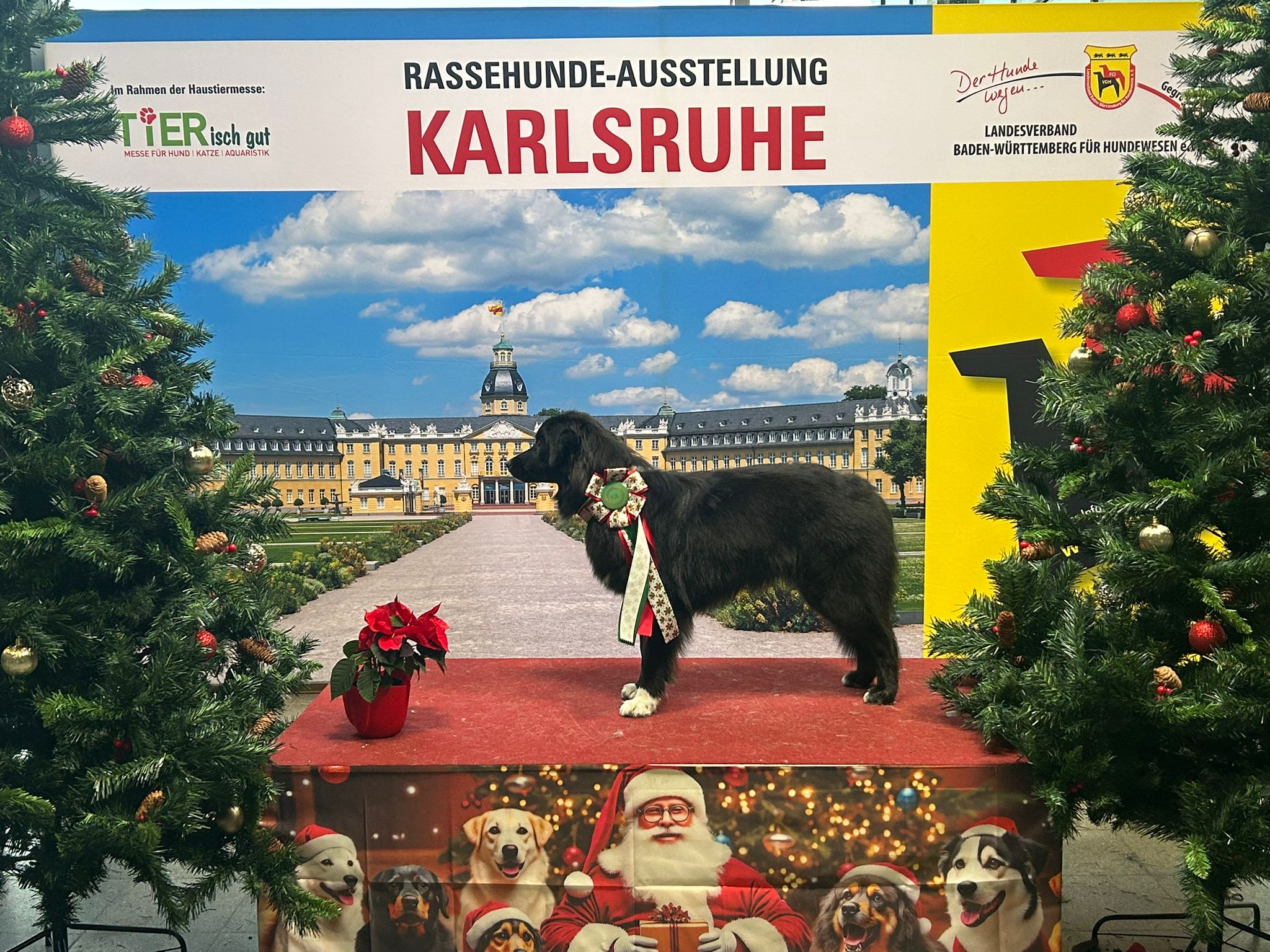 4. Platz Jugendklasse SG Image