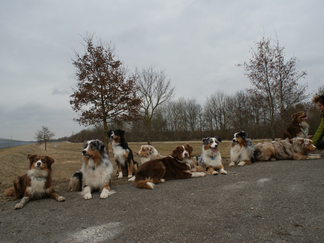 Wurftreffen Hallbergmoos Image