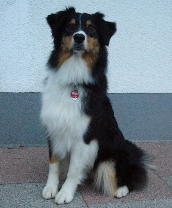 1,5 Jahre Image