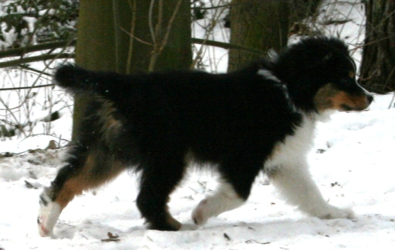 8 Wochen Image