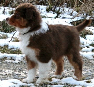 8 Wochen Image