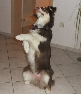 2 Jahre Image