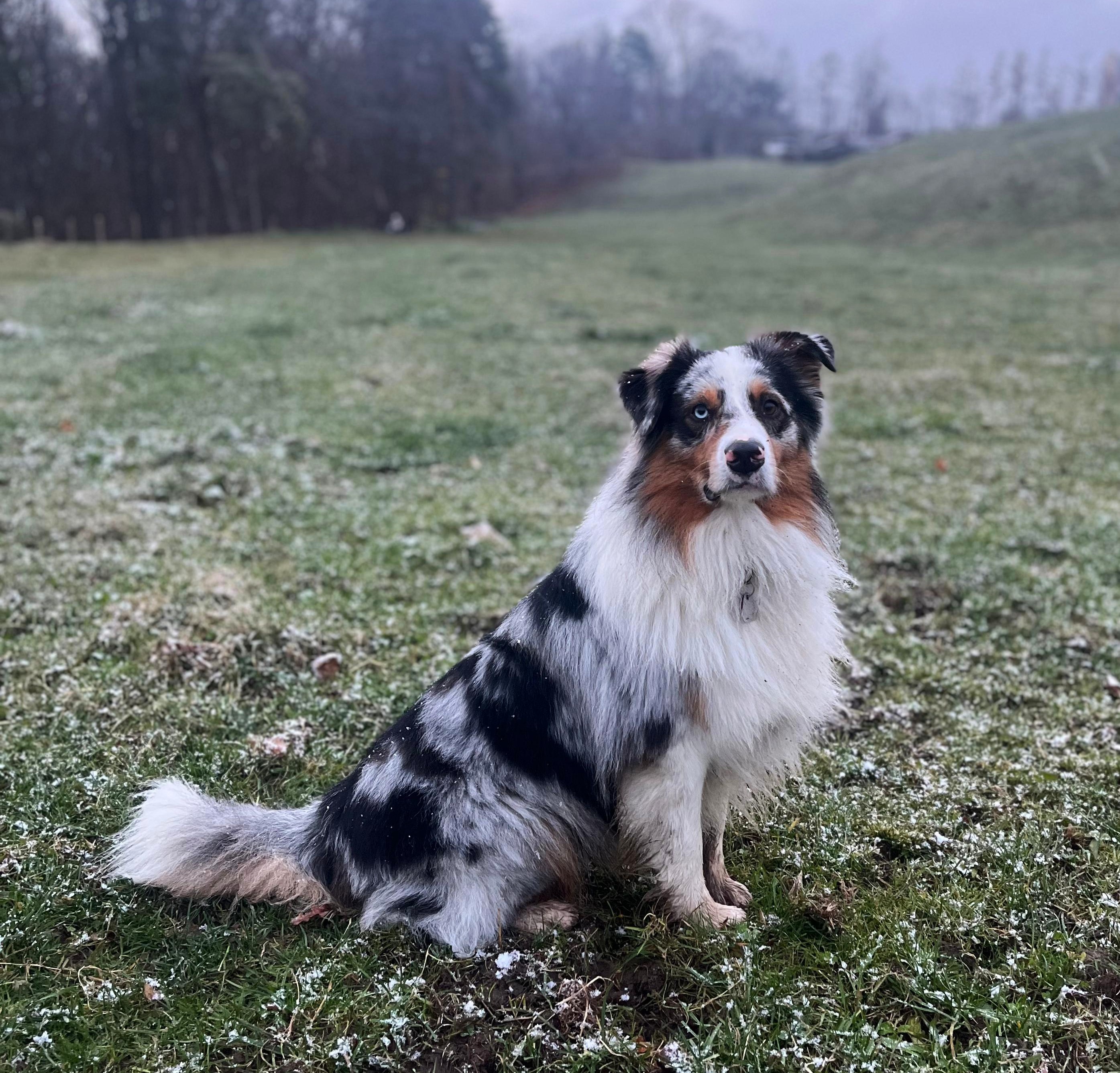 H-M Xclusive Dream Image