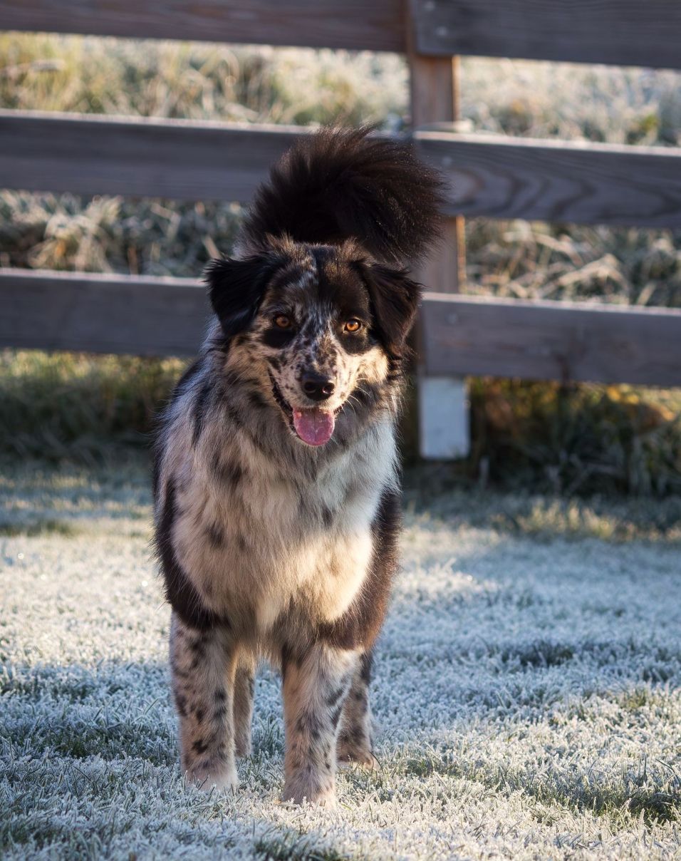 H-M Zest For Life Image