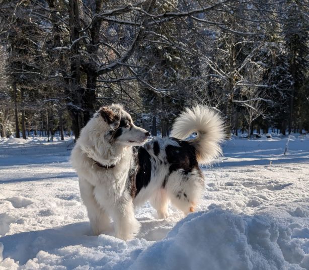 H-M One Love Josefine Image