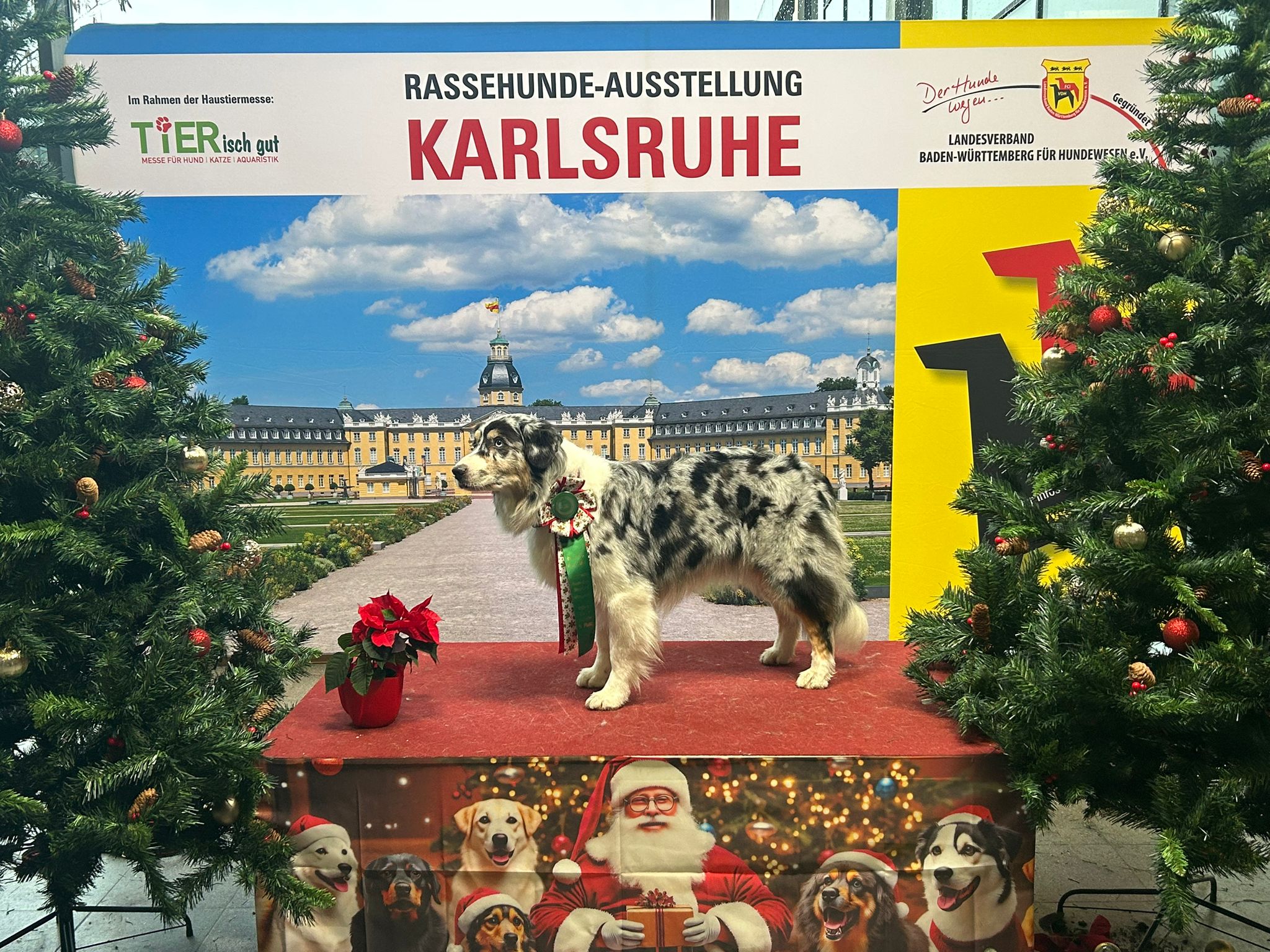 4. Platz Offene Klasse V Image