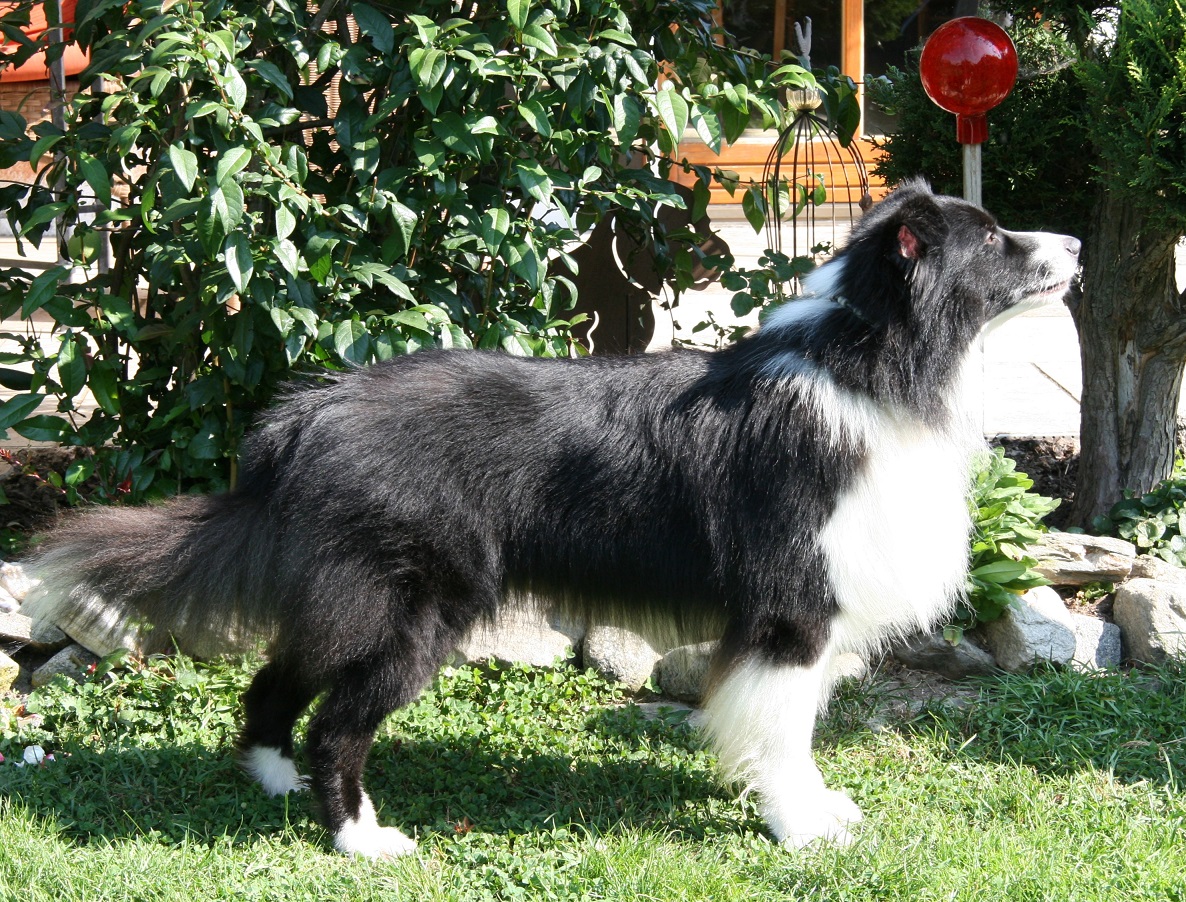 Cooper 4 Jahre Image