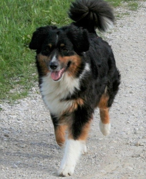 3 Jahre Image