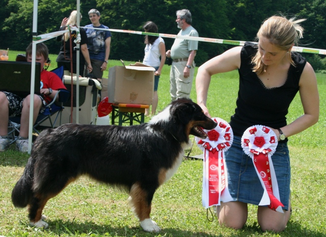 Bester Junghund Jugendchampion Betzenstein Image