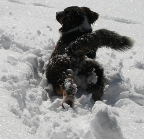 5 Monate rutschen im Schnee Image