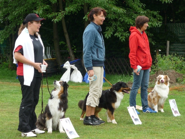 Hanau Gipsy gewinnt mit 2 Jahren die Combi Show Agility Image