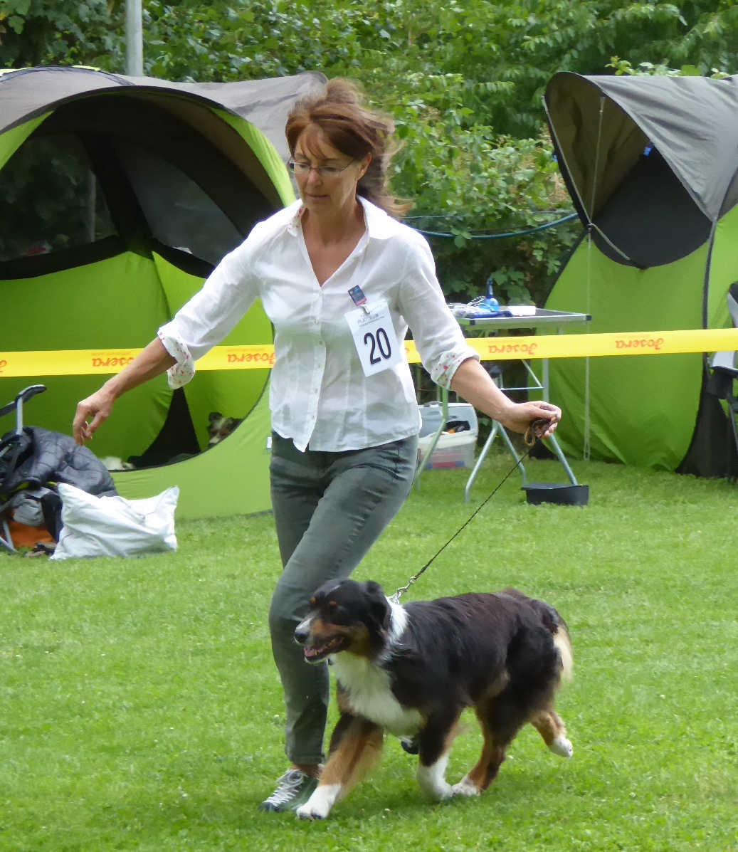 Clubschau 2018 Bester Veterane Image