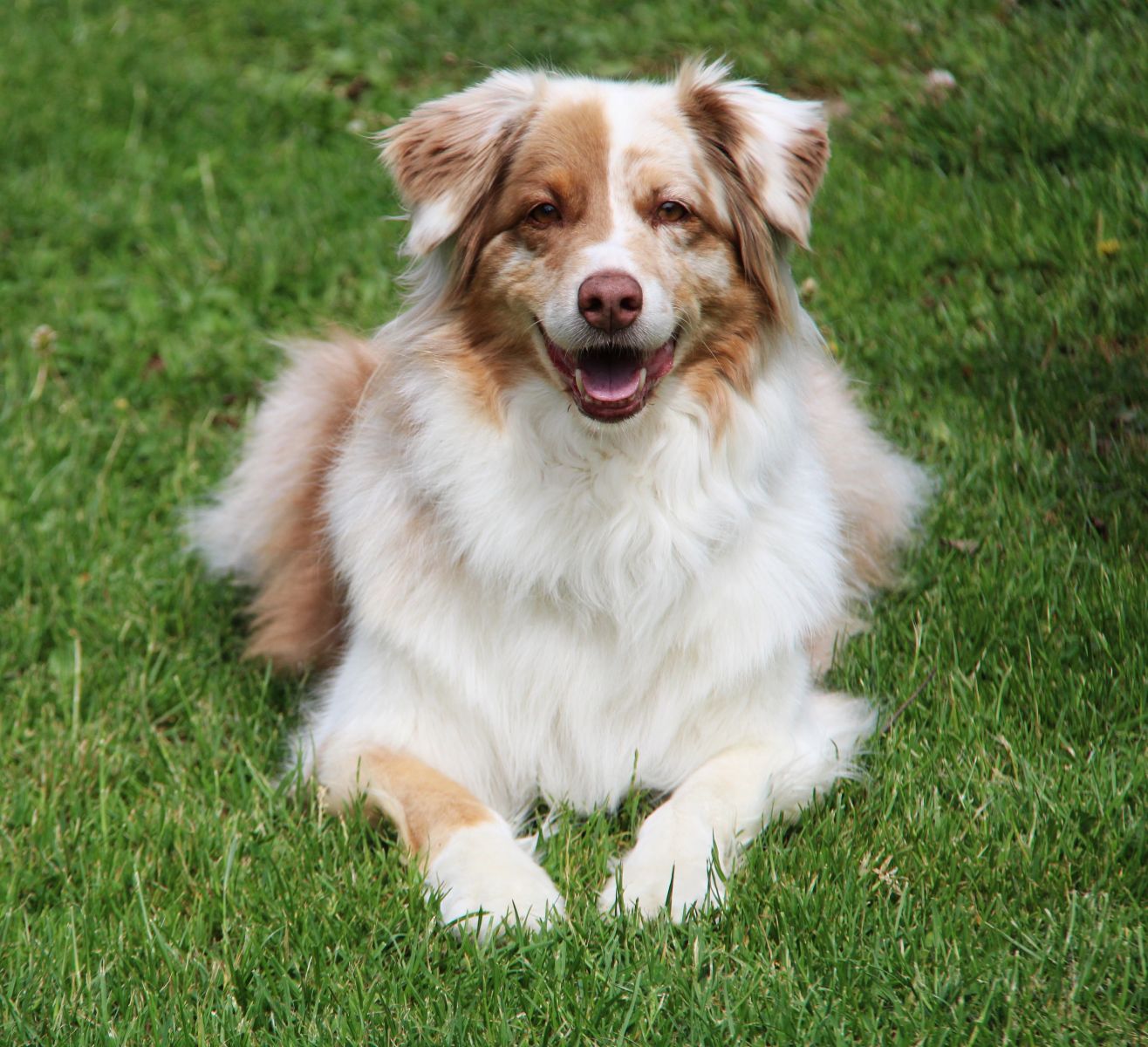 Always smiling Image