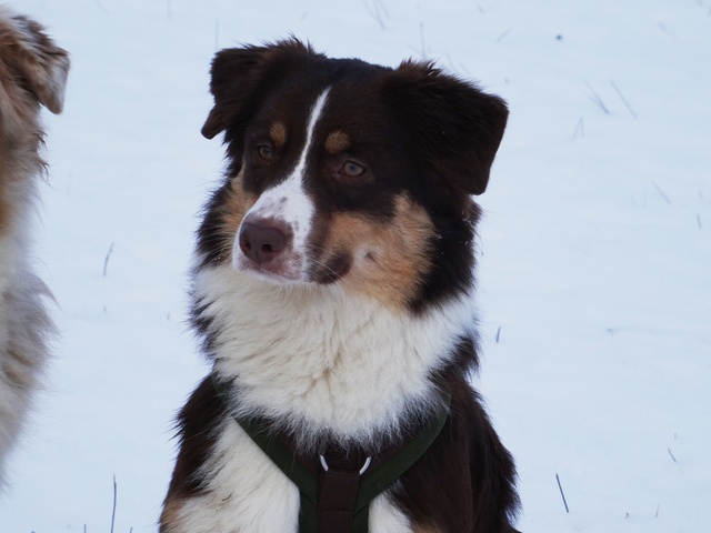 ich liebe diesen Blick Roxy 1 Jahr Image