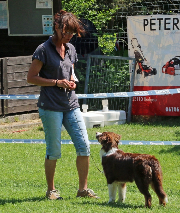 Roxy 6 Monate (Best Puppy 2015) Image