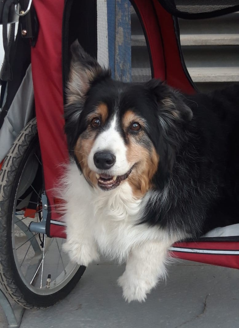 Flizzy 15 Jahre und 9 Monate Image