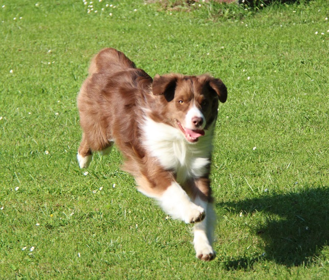 4 Jahre Image