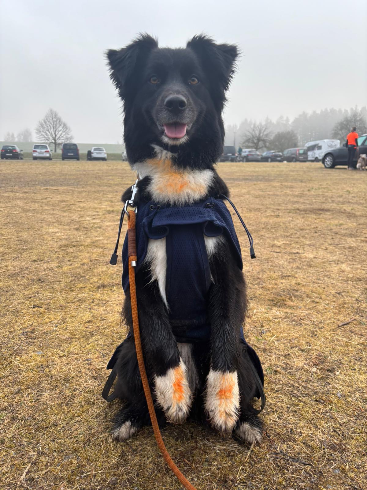 Hexi 5 Jahre Erdmännchen Image