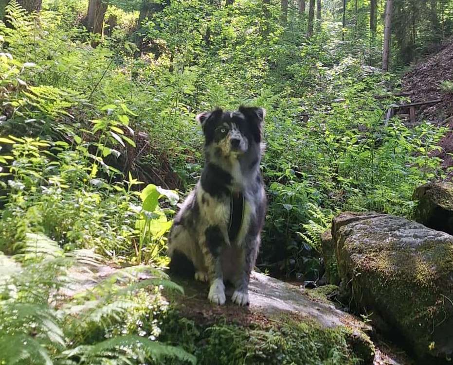 Lio 5 Jahre Image
