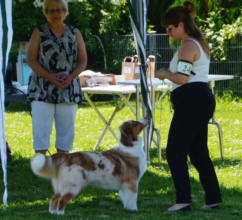 V1 ZWKL Mannheim Image