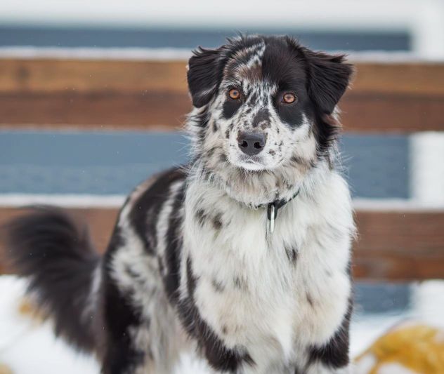 Sally 's erster Schnee Image