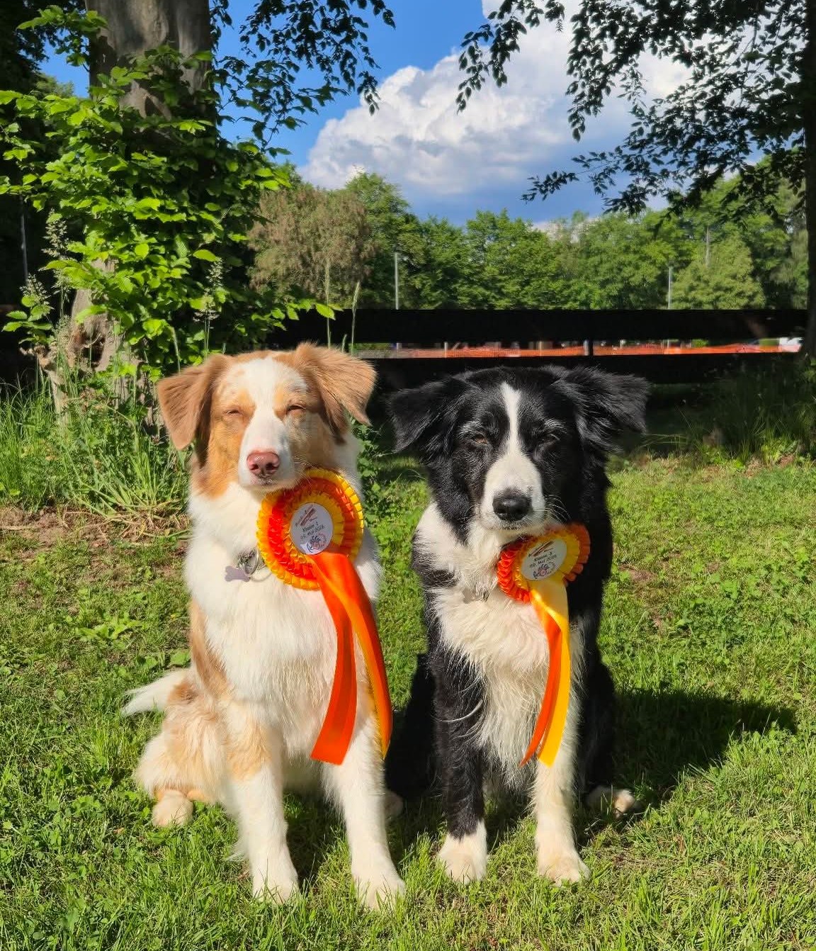 Liv und Holly Image