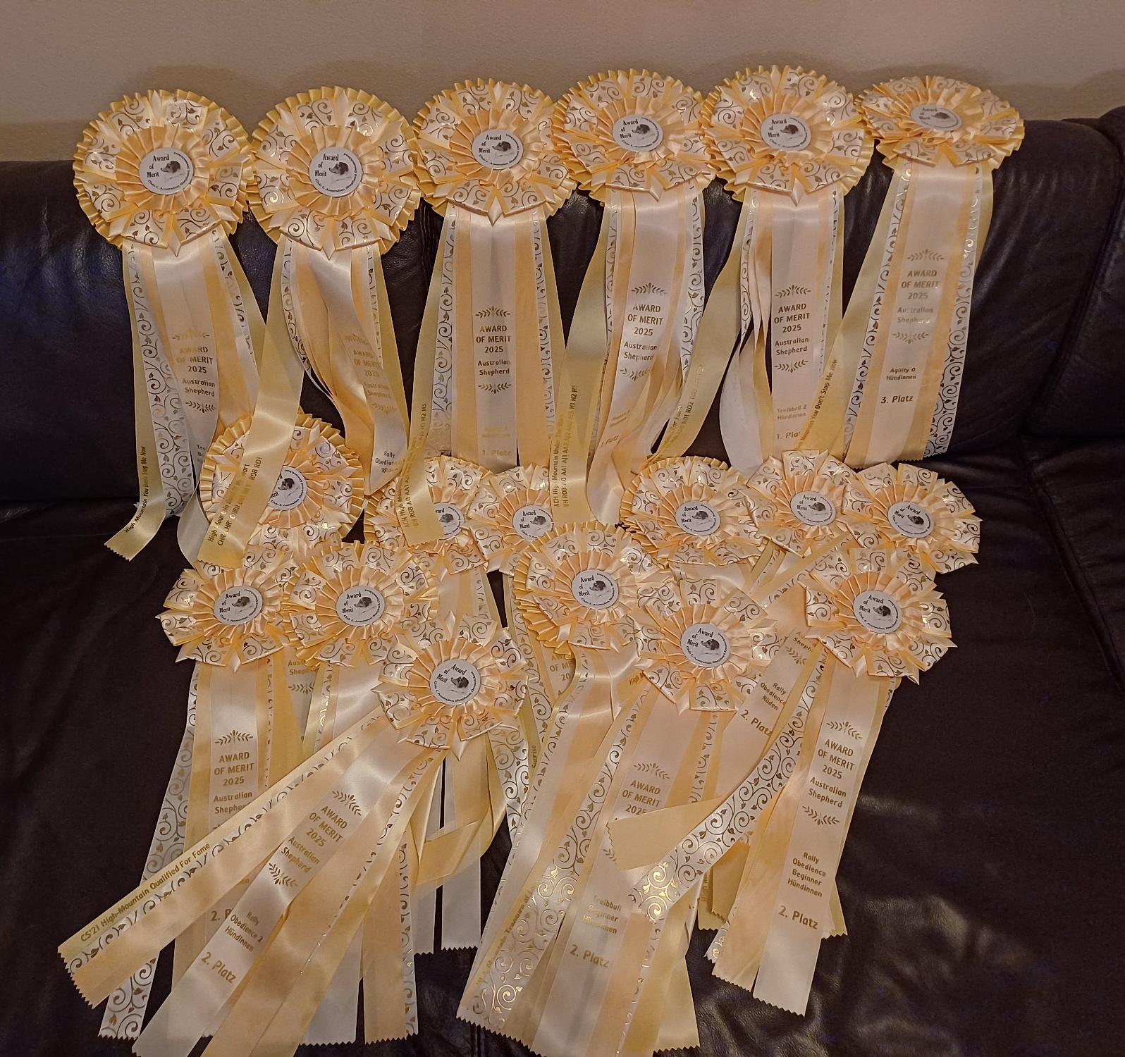 AOM 25 - 11 x 1. Platz, 5 x 2. Platz, 3 x 3. Platz Herzlichen Glückwunsch an ALLE Image