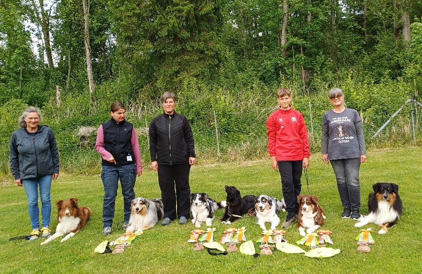 Fit for Fun Truppe Image