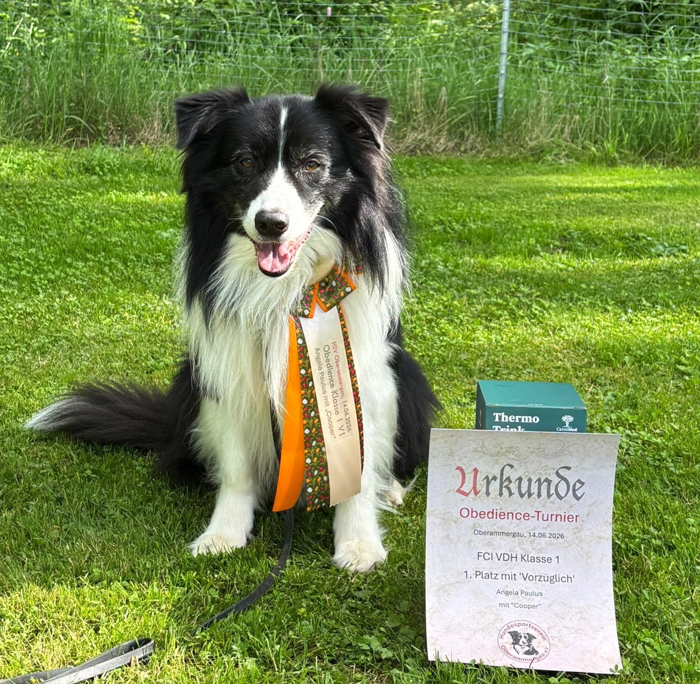 Cooper- High-Mountain Miracle Heart 1. Platz O1 Image