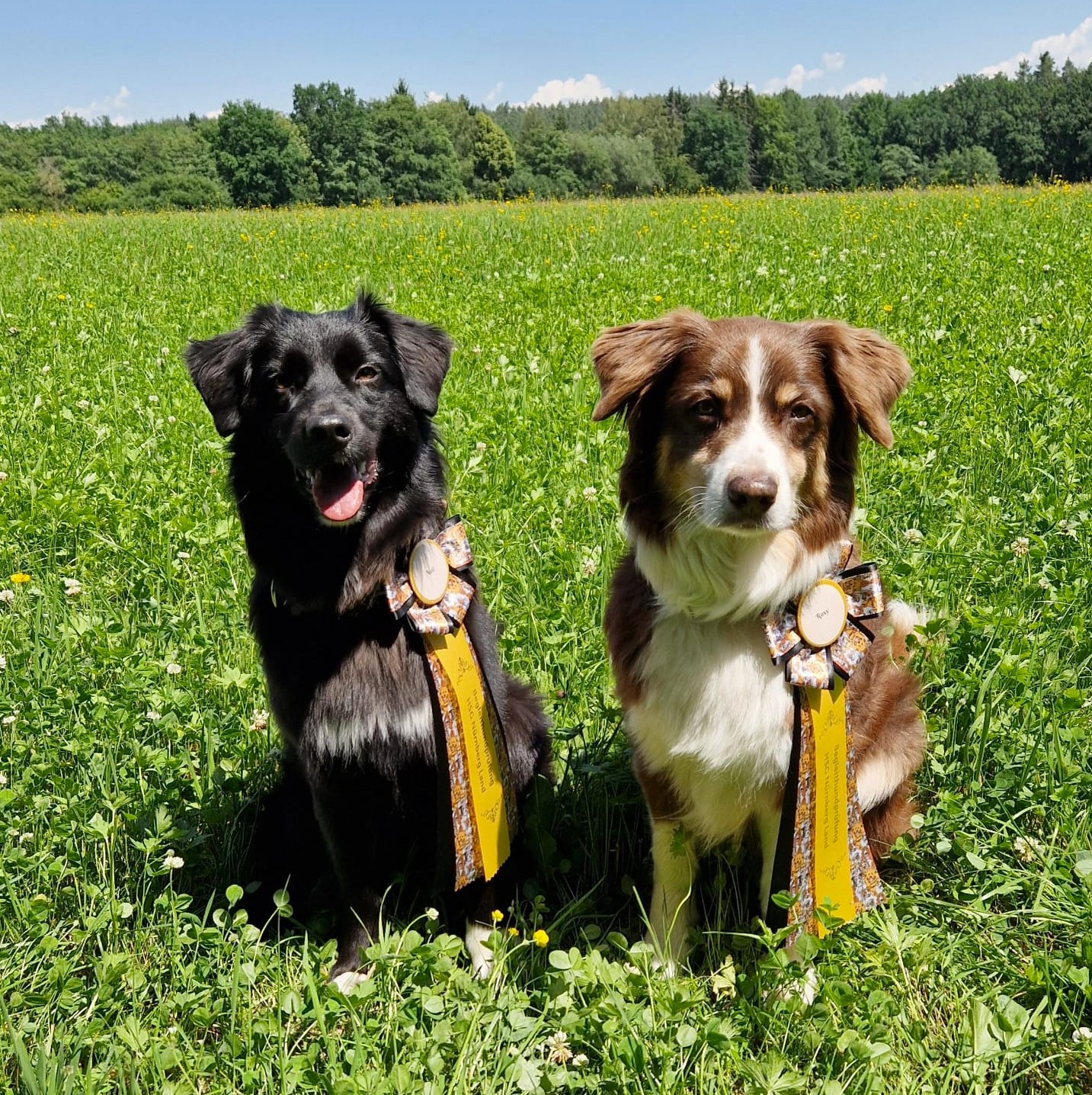 Nuii & Roxy Image