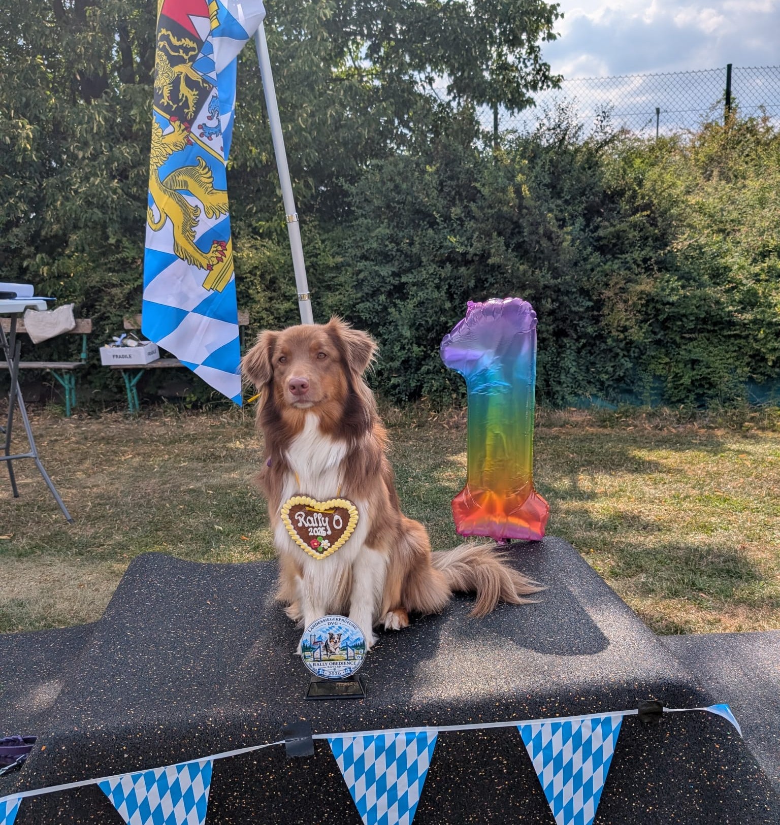 Lilo & Ela Landessieger DVG Image